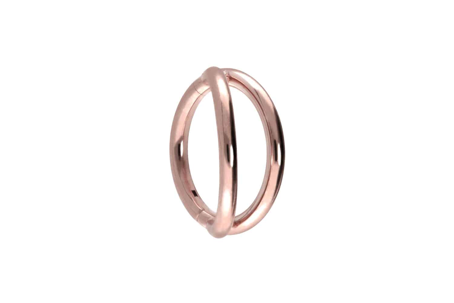 Titan Segmentring Clicker Piercing 2 RINGE